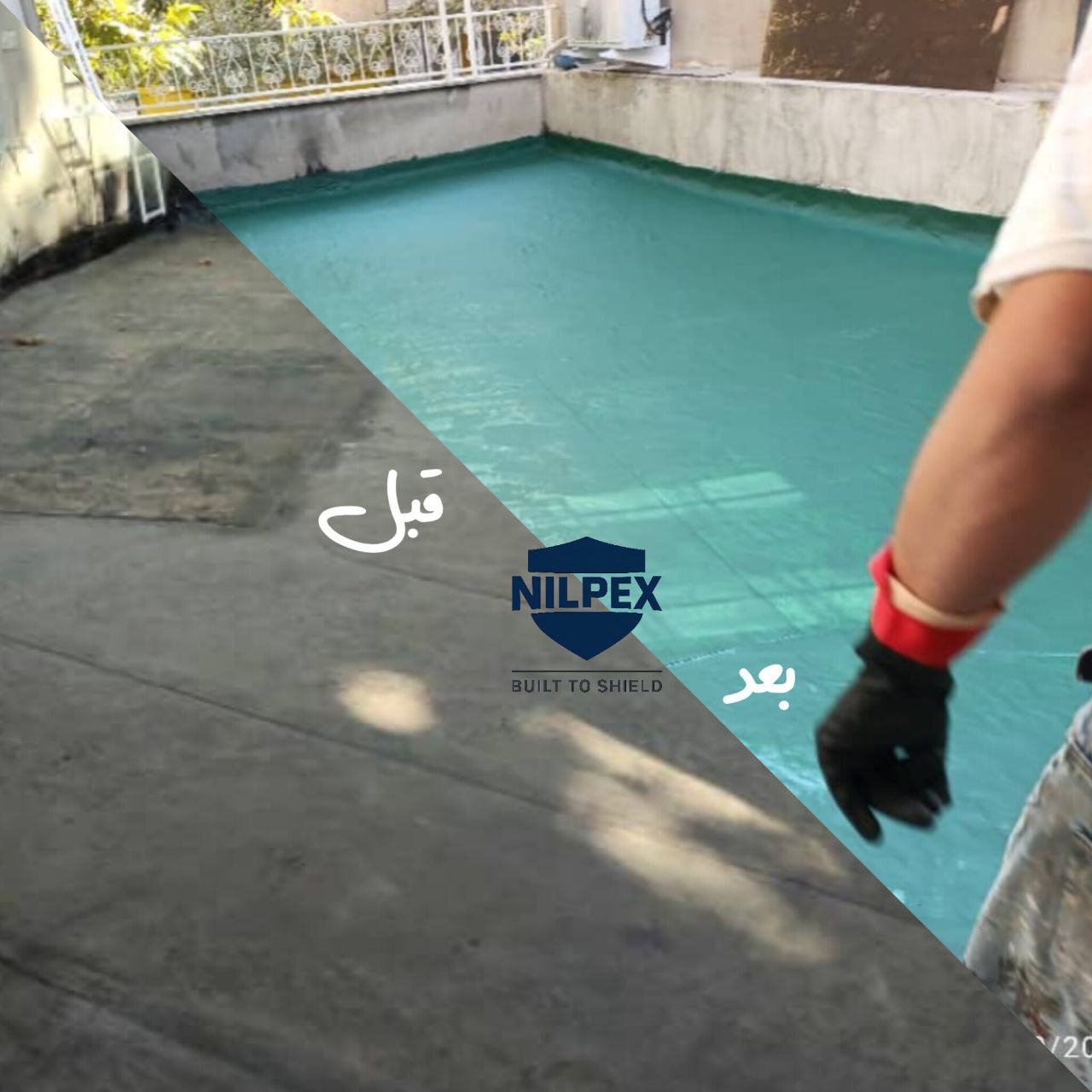 نیلپکس